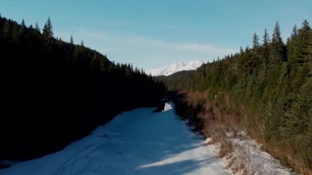 Våren Tid Utsikt Från Alaskas Chugach Mountains — Stockvideo