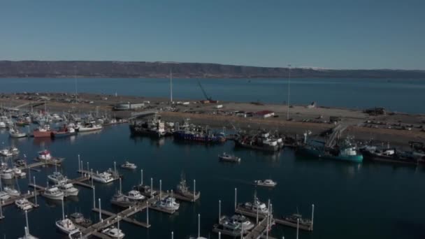 Velmi Zaneprázdněn Homer Alaska Trajektový Přístav Konstantní Tok Čluny Náš — Stock video