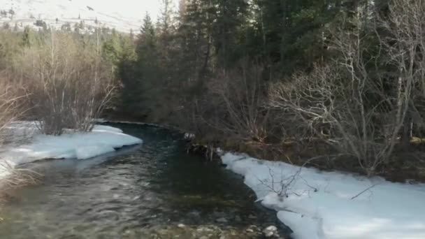 Bahar Saat Görünümleri Alaska Nın Chugach Dağları — Stok video