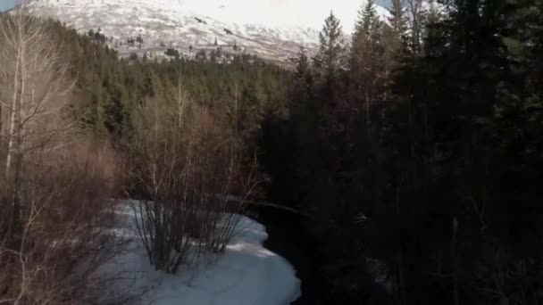 Spring Time Views Alaska Chugach Mountains — Stock Video