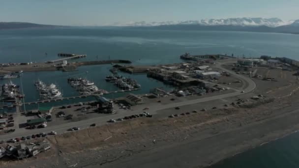 Kilátás Nyílik Világhírű Köpni Homer Alaszkában — Stock videók