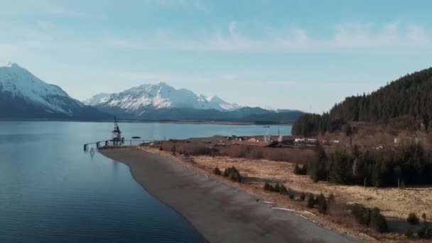 Malerische Ansichten Der Auferstehungsbucht Alaska — Stockvideo