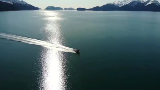 アラスカの水を渡って非常に高速の上陸用舟艇 — ストック動画