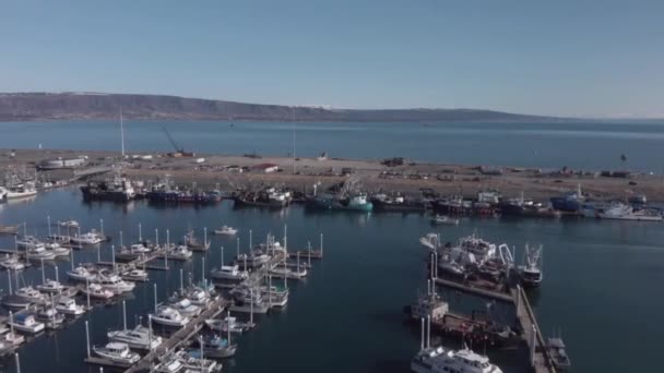 Velmi Zaneprázdněn Homer Alaska Trajektový Přístav Konstantní Tok Čluny Náš — Stock video