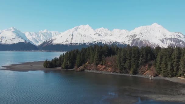 Våren Utsikten Från Alaska — Stockvideo