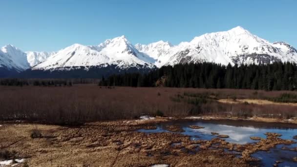 Impresionantes Vistas Primavera Desde Alaska — Vídeos de Stock