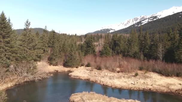 Impresionantes Vistas Primavera Desde Alaska — Vídeos de Stock