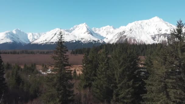 Ohromující Výhled Jaře Aljašky — Stock video