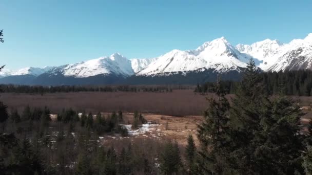 Impresionantes Vistas Primavera Desde Alaska — Vídeo de stock