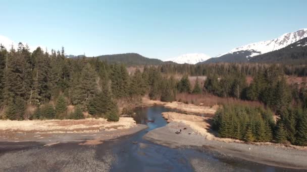 Impresionantes Vistas Primavera Desde Alaska — Vídeo de stock