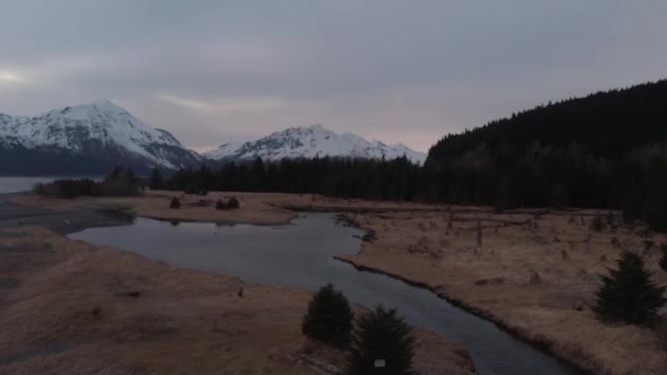 Amazing Spring Views Alaska — Stock Video