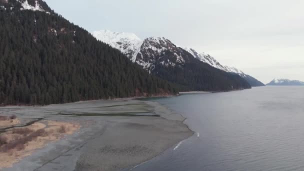 Utsikt Över Stranden Från Alaska — Stockvideo