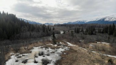 Bahar Alaska'da vahşi