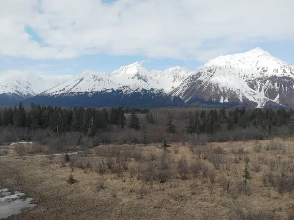 Natura Selvaggia Dell Alaska Primavera — Foto Stock