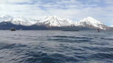 Alaska muhteşem bahar manzaraları 