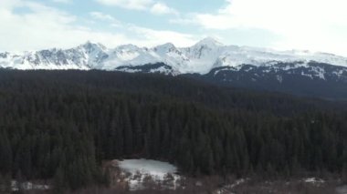 Bahar Alaska'da vahşi