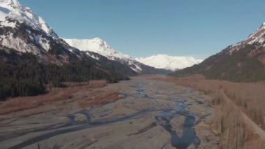 Bahar Alaska'da vahşi