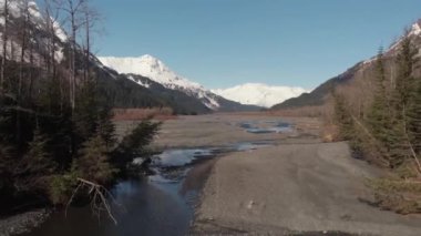 Bahar Alaska'da vahşi