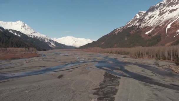 Erstaunliche Frühlingsaussichten Von Alaska — Stockvideo