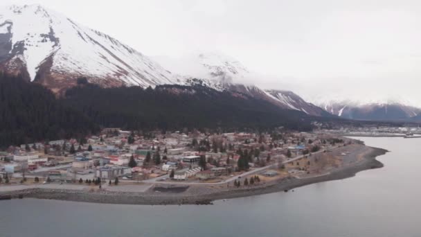 Montagna Vista Dall Alaska — Video Stock
