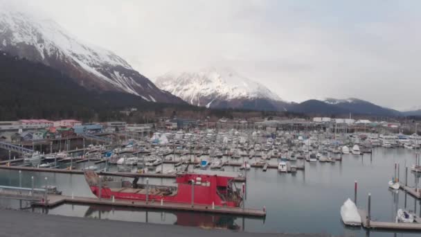 Montagna Vista Dall Alaska — Video Stock