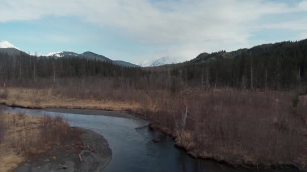 Удивительные Весенние Виды Аляски — стоковое видео