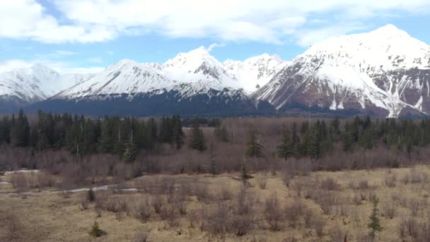 Natureza Selvagem Alasca Primavera — Vídeo de Stock