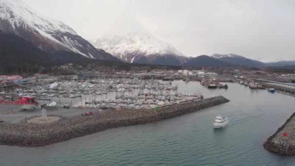 Barcos Trabajo Bahía Resurrección Alaska — Vídeo de stock