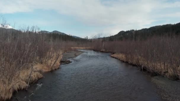 アラスカからの素晴らしい春景色 — ストック動画