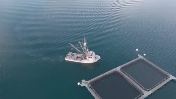 Kommersiell Fiske Båt Alaska — Stockvideo