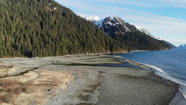 Utsikt Över Alaska Vildmarken — Stockfoto