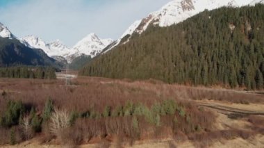 Alaska dağ üst sayısı 