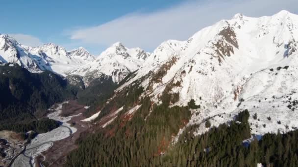 Blick Auf Die Berggipfel Von Alaska — Stockvideo