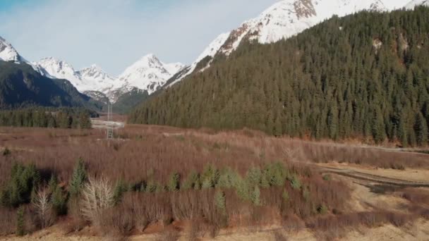 Nejlepší Výhled Hory Aljašky — Stock video