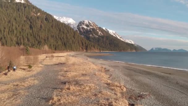 Waves Beach Alaska — Stock Video