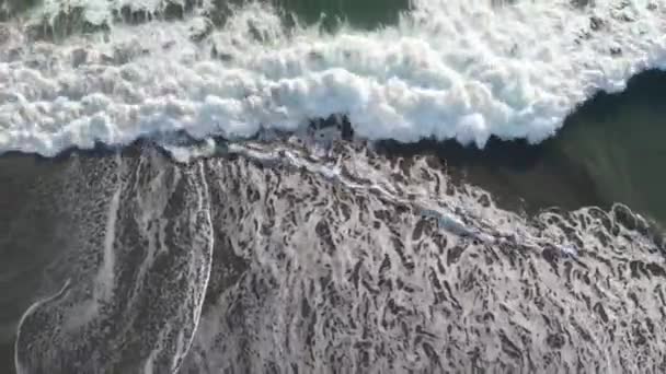 Waves Beach Alaska — Stock Video