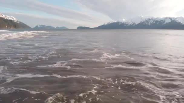 Vågor Stranden Alaska — Stockvideo