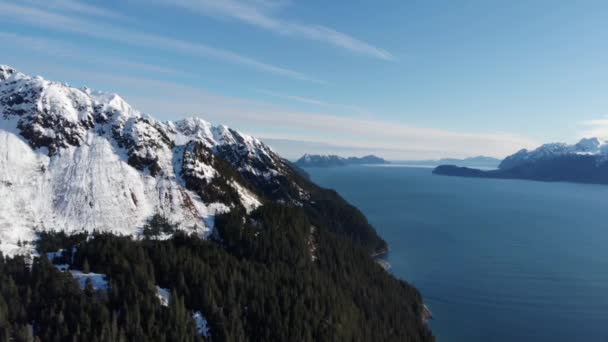 Top Uitzicht Bergen Van Alaska — Stockvideo