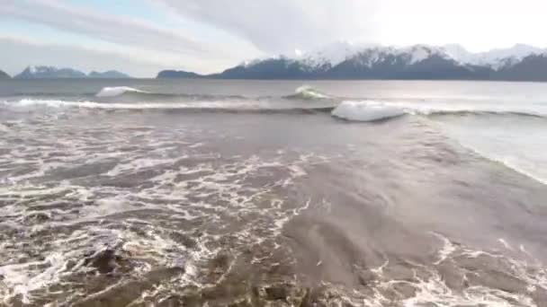 Vagues Sur Plage Alaska — Video
