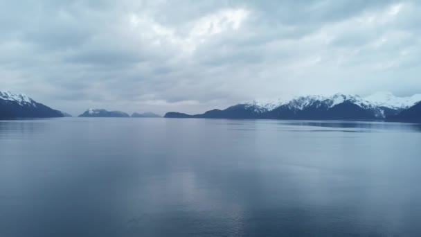 Пакети Морських Левів Полювання Воскресіння Bay Алясці — стокове відео