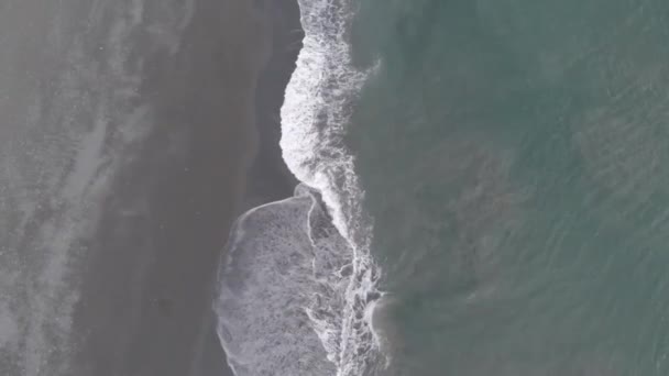 Vagues Sur Plage Alaska — Video