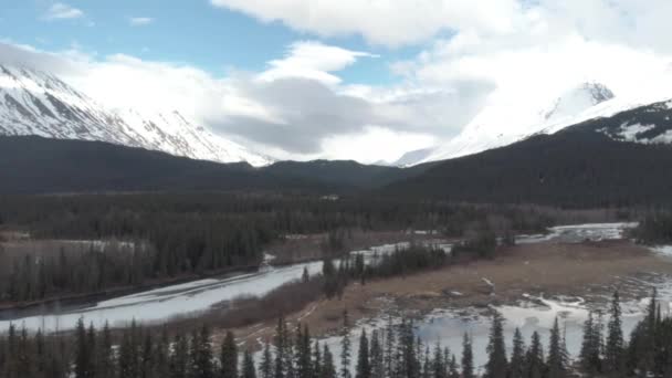 Naturskön Utsikt Från Seward Alaska — Stockvideo