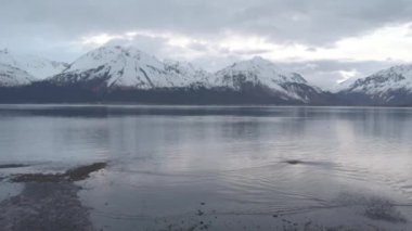 Seward Alaska yakınında güzel bahar manzarası 
