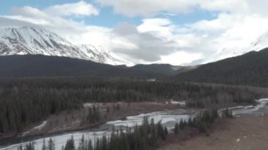 Alaska 'nın vahşi doğada Demiryolu Köprüsü