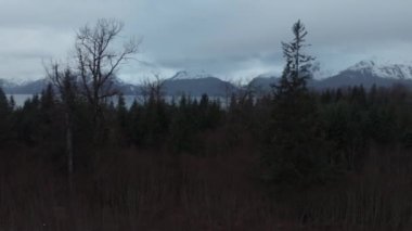 Seward Alaska yakınında güzel bahar manzarası 