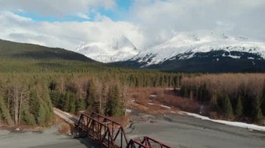 Alaska 'nın vahşi doğada Demiryolu Köprüsü