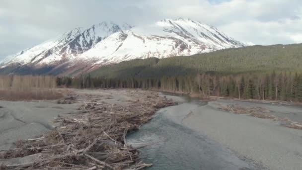 Bellissimo Paesaggio Primaverile Vicino Seward Alaska — Video Stock