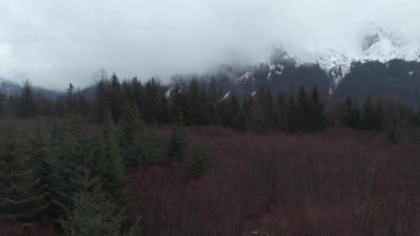 Vacker Vår Natur Nära Seward Alaska — Stockvideo