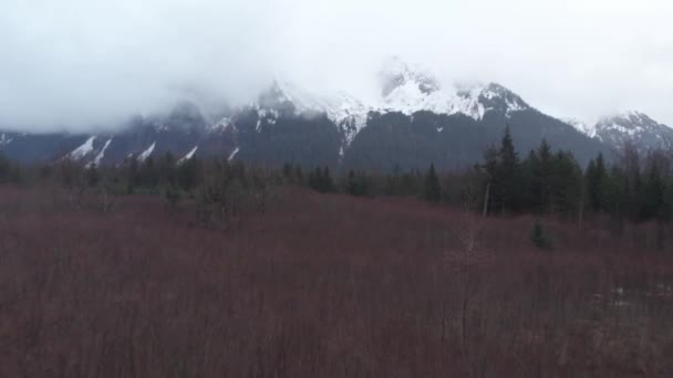 Hermoso Paisaje Primavera Cerca Seward Alaska — Vídeo de stock