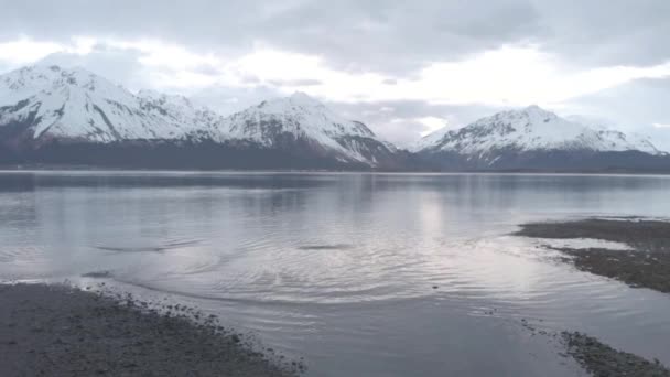 Bela Paisagem Primavera Perto Seward Alaska — Vídeo de Stock